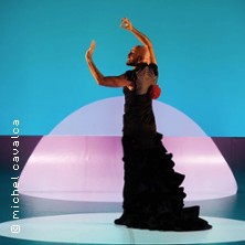 Car/Men - Compagnie Chicos Mambo - Th&eacute;&acirc;tre des Champs-Elys&eacute;es, Paris