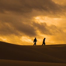 Scylla & Furax Barbarossa