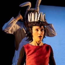 Le Jour du Coquelicot