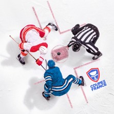 F&eacute;d&eacute;ration fran&ccedil;aise de hockey sur glace