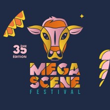 Festival M&eacute;gasc&egrave;ne - Billet 1 Jour