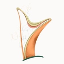 Les Lundis Musicaux de l'Ath&eacute;n&eacute;e