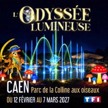 L'Odyss&eacute;e Lumineuse Caen - Billet Open