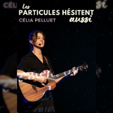 CELIA PELLUET Les particules h&eacute;sitent aussi