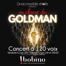 AU CHOEUR DE GOLDMAN Concert &agrave; 120 voix