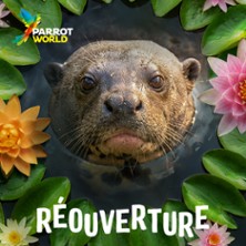 Parrot World - Le Parc Animalier Immersif