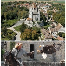 Cit&eacute; M&eacute;di&eacute;vale de Provins
